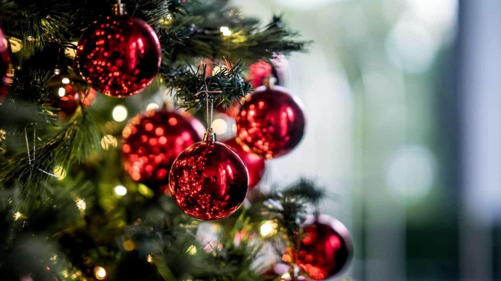 christmas-tree-saftey-tips-e1513031250842.jpg